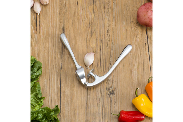 How to Use a Garlic Press Wayfair